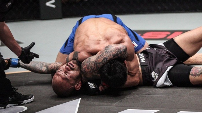 PFL Low Blow Controversy: Wobbly fighter recovers